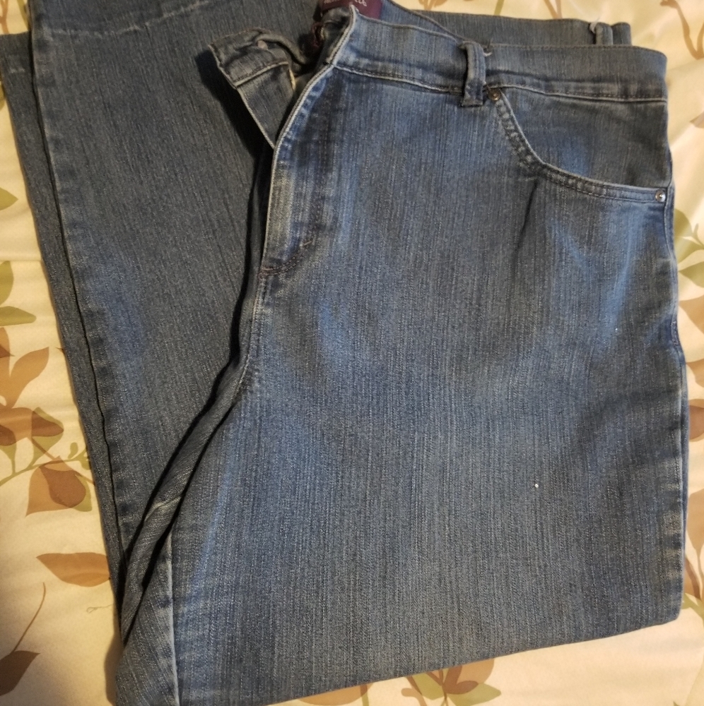 22W  gloria Vanderbilt  pants